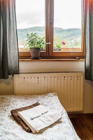 Отели типа «постель и завтрак» Gościniec Rajec Райча Двухместный номер с 2 отдельными кроватями-3